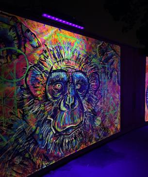 monkey art